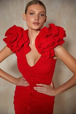 Alamour The Label NEW ARRIVALS Monica Dress 8 Alamour The Label NEW ARRIVALS Monica Dress