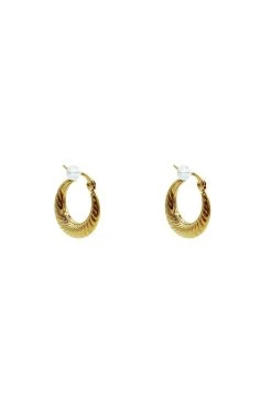 Alamour The Label Louisa Gold Hoop Earrings