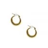 Alamour The Label Louisa Gold Hoop Earrings
