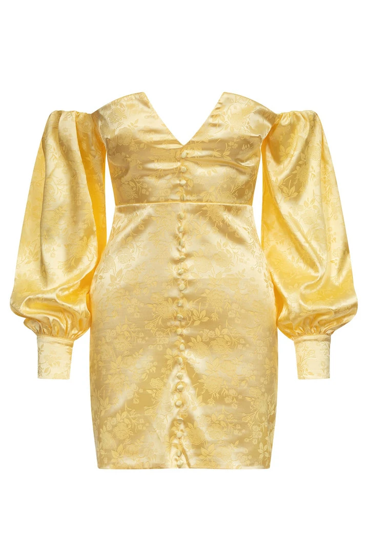 Alamour The Label Zehra Dress Alamour The Label Zehra Dress