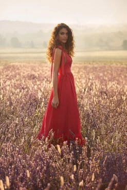 Alamour The Label Cellina Maxi Dress NEW ARRIVALS