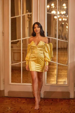 Alamour The Label Zehra Dress 9 Alamour The Label Zehra Dress