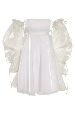 Alamour The Label Celine Mini Dress 22 Alamour The Label Celine Mini Dress