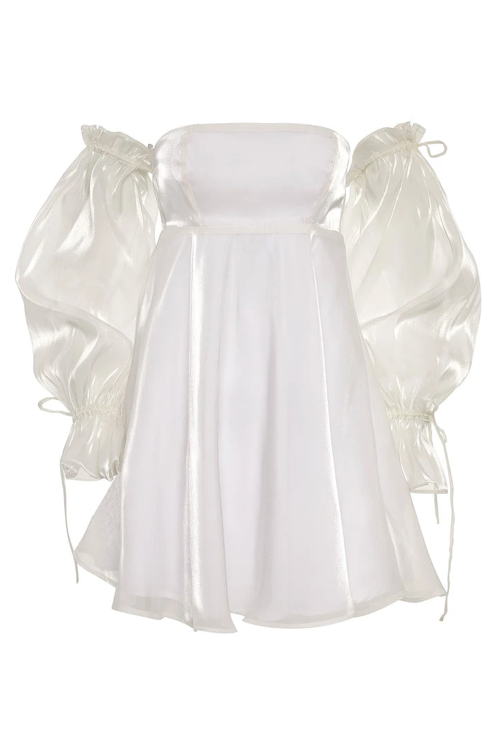 Alamour The Label Celine Mini Dress 11 Alamour The Label Celine Mini Dress