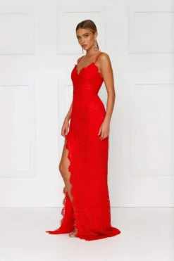 Alamour The Label Layali - Red Fitted Gowns