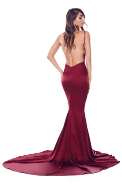 Alamour The Label Tamara - Burgundy Fitted Gowns 2 Alamour The Label Tamara - Burgundy Fitted Gowns