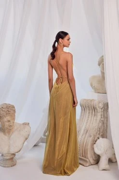 Alamour The Label A-Line Gowns Luna - Gold