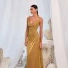 Alamour The Label A-Line Gowns Luna - Gold